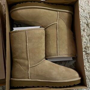 NWT classic short UGG boots